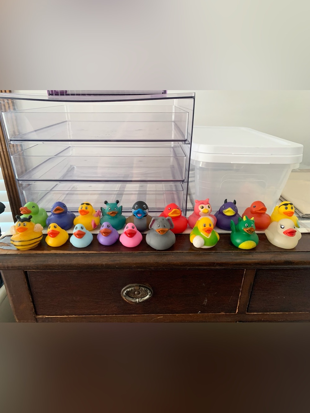 19 Assorted Colorful Rubber Duck Toy Set